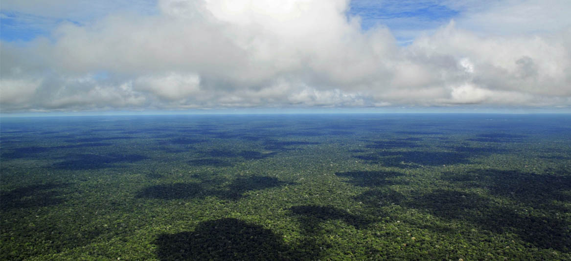 Dia da Amazônia