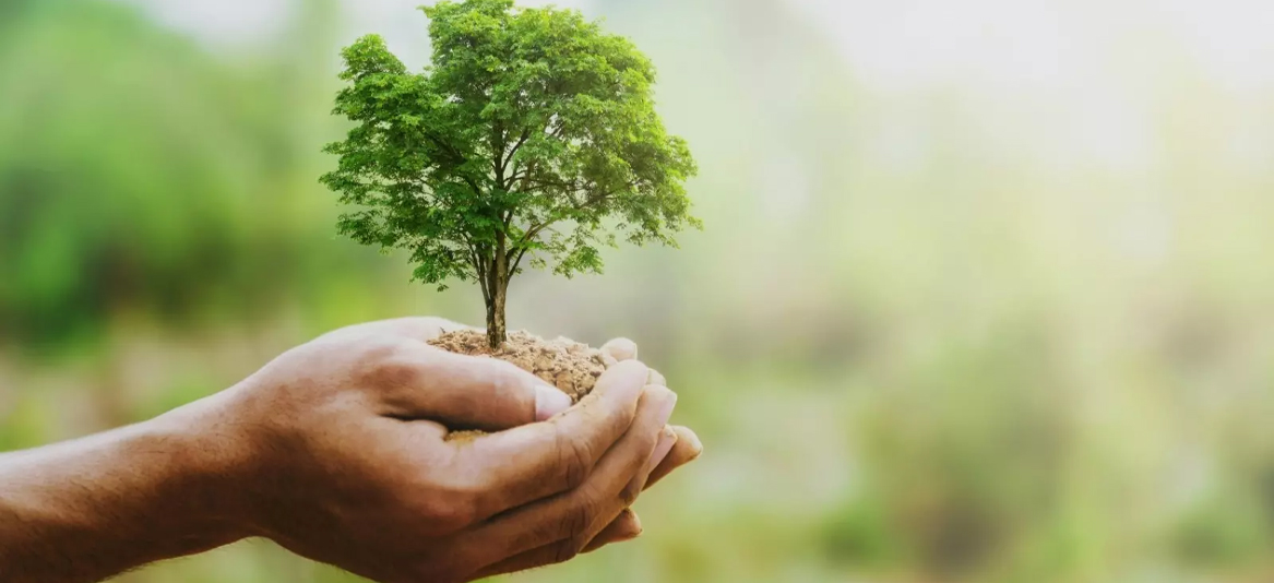 Dia Nacional de Conscientização sobre as Mudanças Climáticas