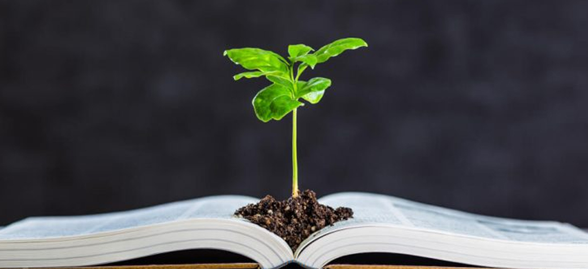 Dia Da Educação Ambiental: Disciplina é Indispensável Para Um Futuro ...